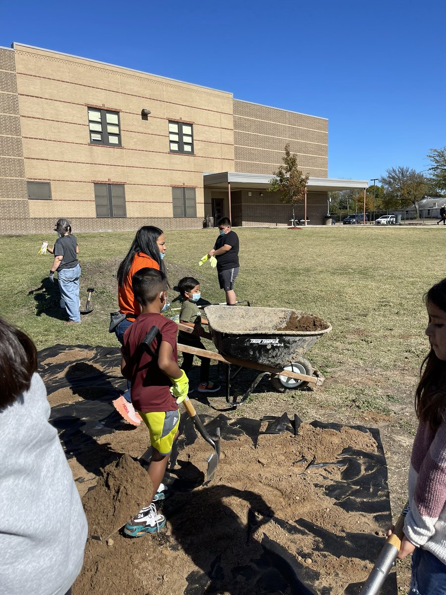 AlfanoY's tweet photo. Green Team at work! Monarch Butterfly garden will look great 🙌🏻💯🙌���� #essentialeagles #swmakeyourmark @MolinaSunset #DallasISDisReady #SunMolRiseUp @transformDISD @dallasschools @dallasisdparent @salazareagles #disdproud #salazareagles @teamdallasisd @PersonalizeDISD https://t.co/jfqVCpK0pl