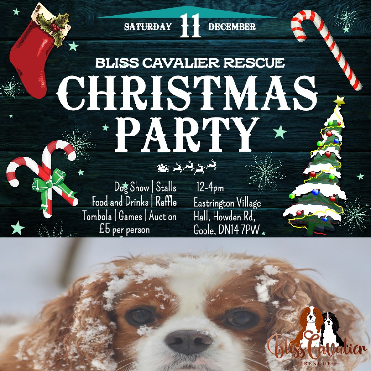 RescueBliss's tweet photo. 🎄Join us for our 'Cavvy Christmas Party' 🎄

You can purchase tickets in advance which includes a free mince pie and hot drink.

Please DM or email info@blisscavalierrescue.org to order

#cavpack https://t.co/xecFObmt0x