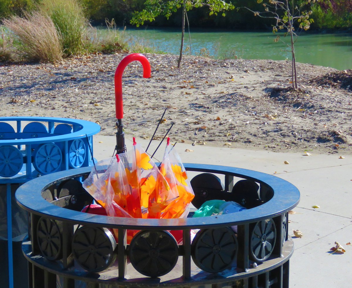 seasidebound1's tweet image. Before yesterday's storm it felt like 17°C; today it feels closer to 2°C. #GoodbyeAutumn #climate