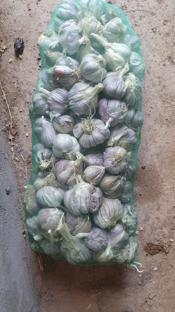 شجعوا التاجر المحلي والمنتج العماني تواصلوا وستجدوا مايرضيكم 96080989