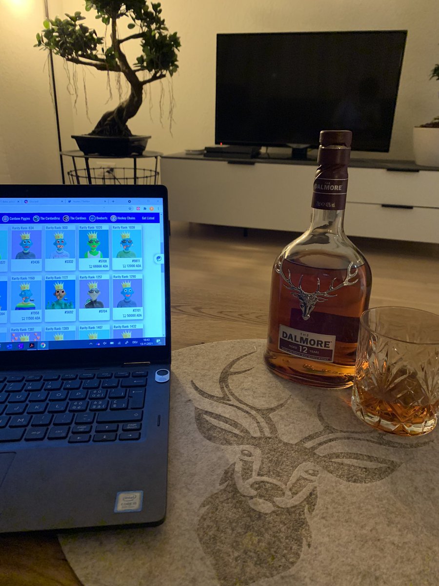 Conno 🐸🆙 tweet media