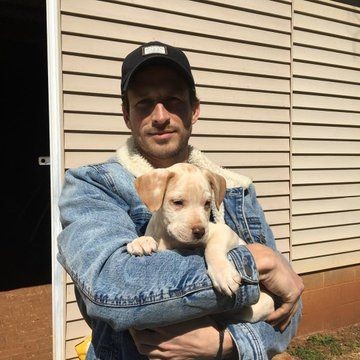 Adopté a un canino.