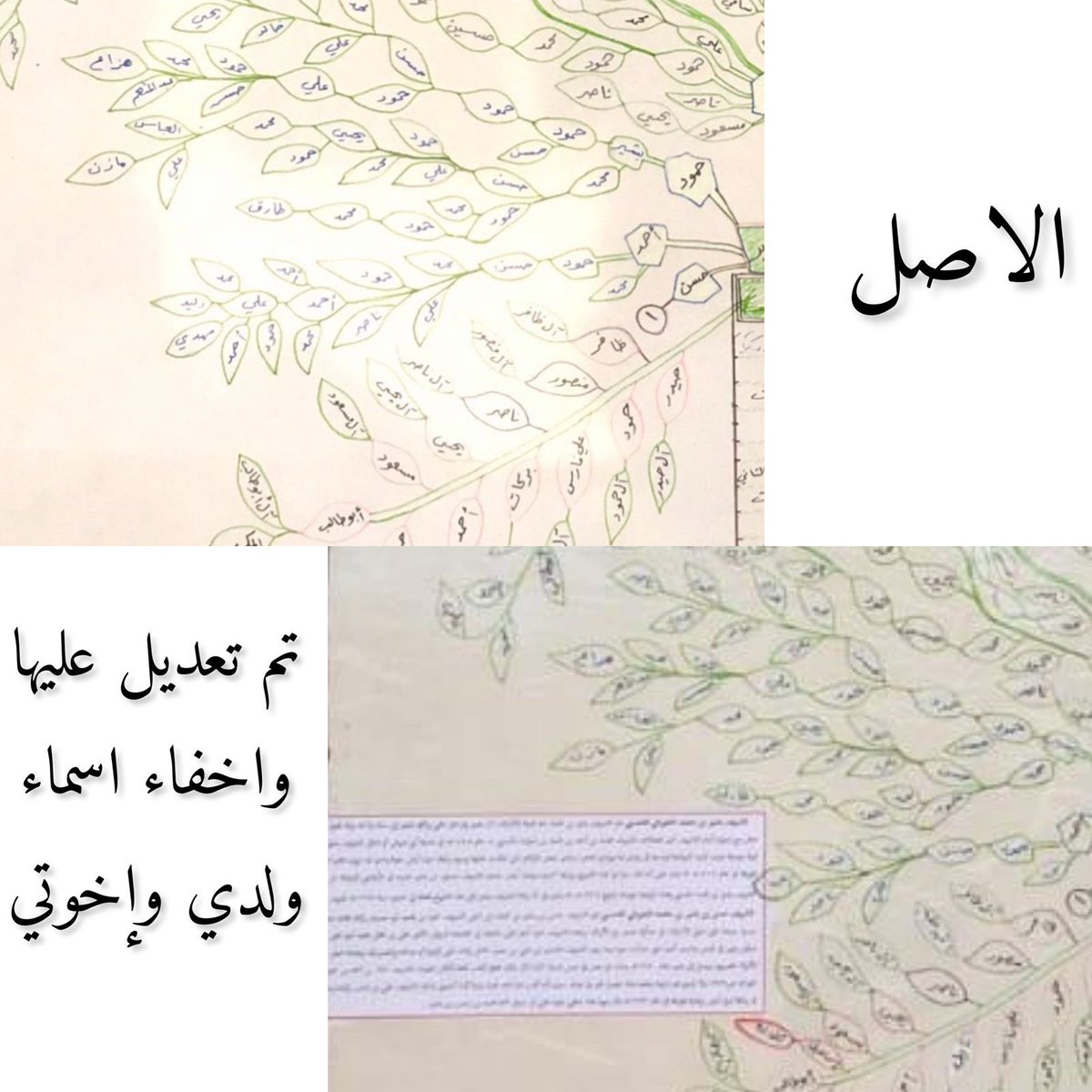 #نوره_بحاجه_وقفتكم  نحن سعوديون الاصل والمنشاء ولدينا مايثبت. ولكن حقنا ضاع
