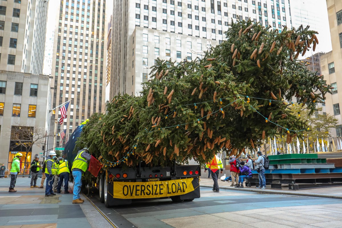 Gothamist's tweet photo. Photos: The 2021 Rockefeller Center Christmas Tree Has Arrived https://t.co/0qBJIbPgZi https://t.co/BuM3OMbzTd