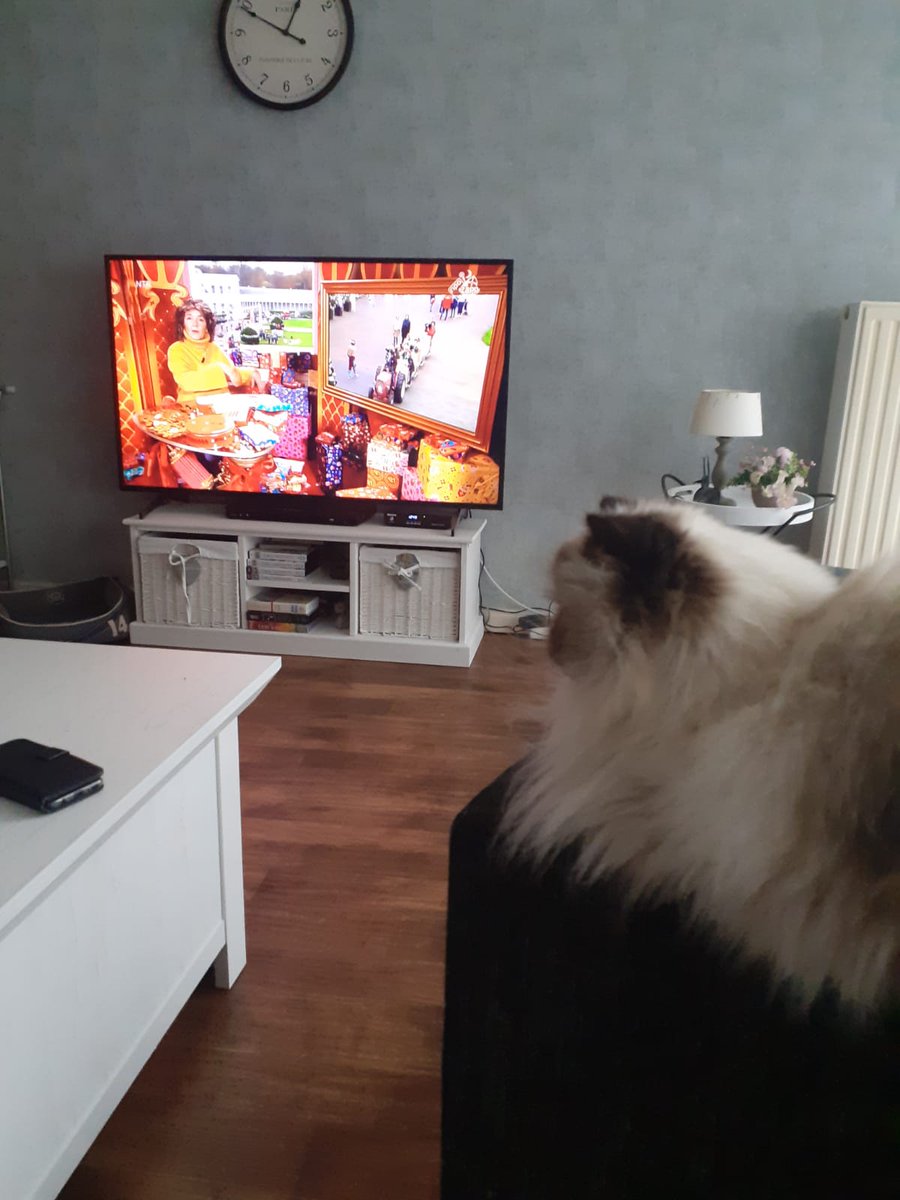 herafen's tweet photo. @ellenmartinus Xavi ook vol verwachting... https://t.co/gqwakqDVjQ