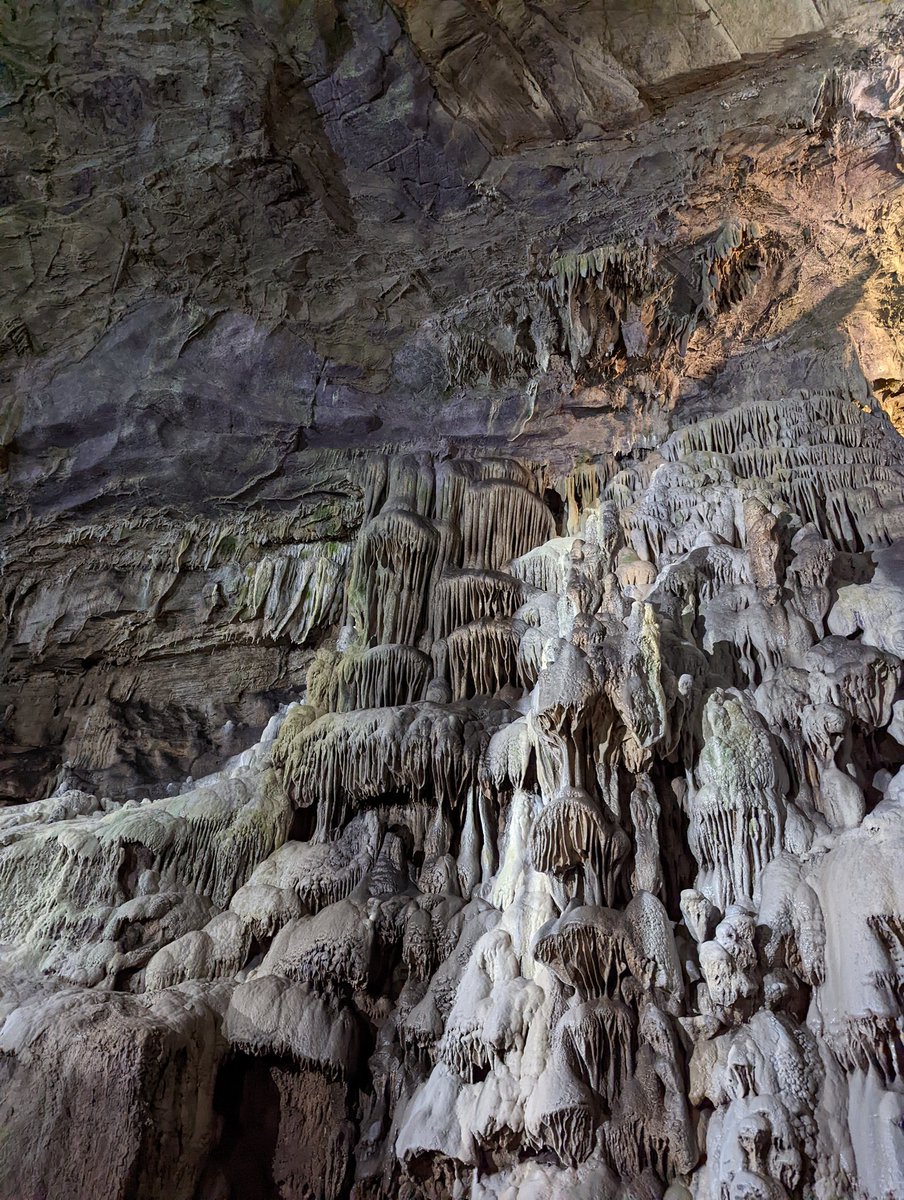 <a href="/MKBHD/">Marques Brownlee</a> Pictures from my Pixel Pro 6.