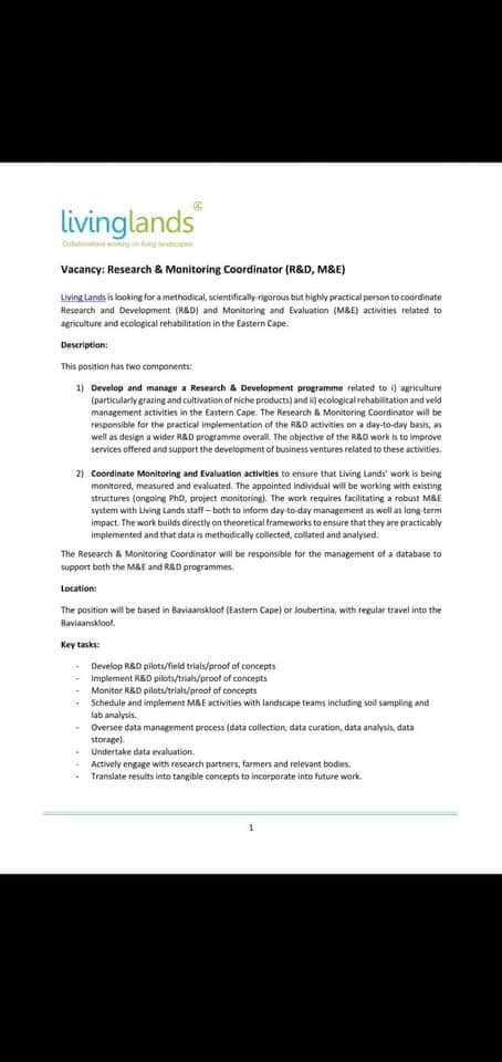 focusisfuture's tweet photo. ATTENTION: JOB OPPORTUNITIES ❗❗❗

Refer To Flyers Below For More Information 👇👇

#focusisfuture #JobSeekersSA #november2021jobs #noticeme https://t.co/8uoNtSp6pa