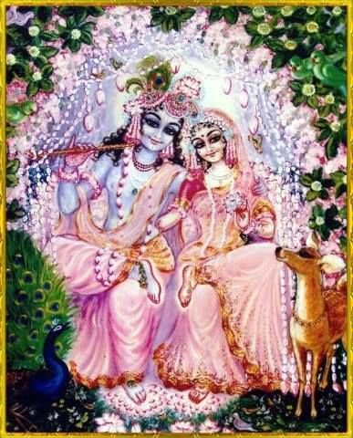 BhaktiFlower's tweet photo. 🍃राधे कृष्णा🍃भक्ति🍃 https://t.co/GPmNIjvuJv