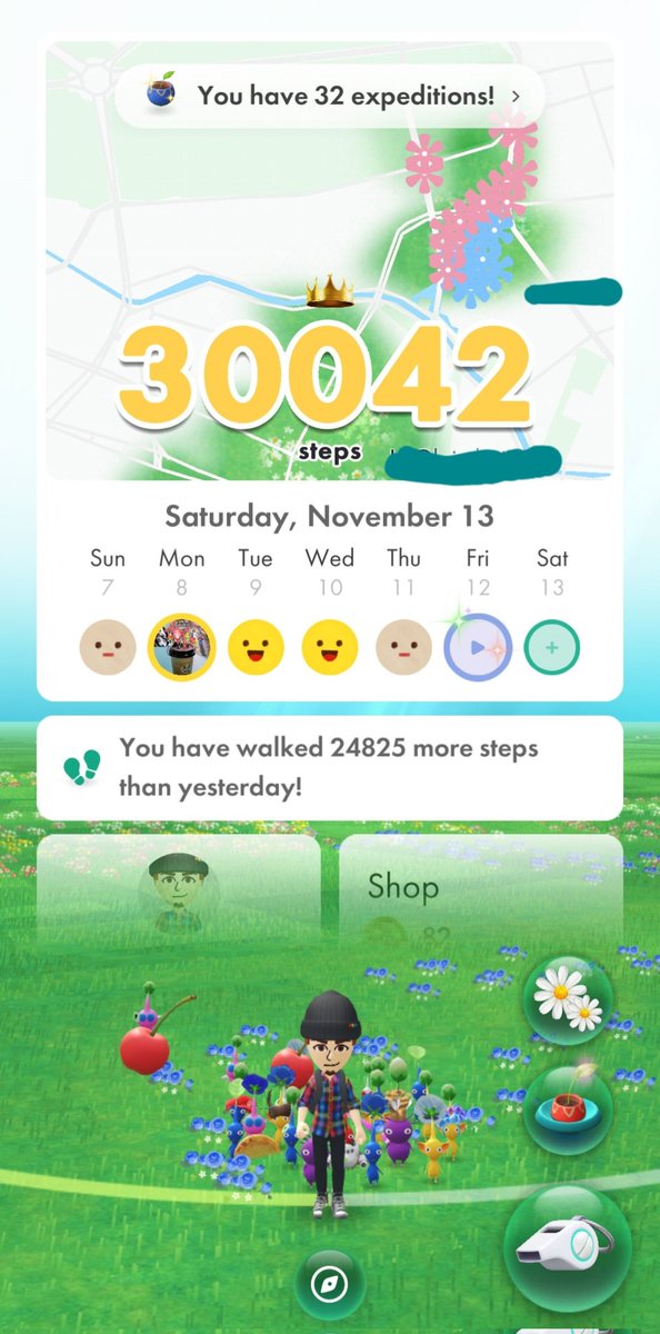 torterry's tweet photo. I made it, 30K on Community Day before 9 pm. 😁 #CommunityDay #10KWalkWithPikmin #PikminBloom https://t.co/XN6kTtnEgu