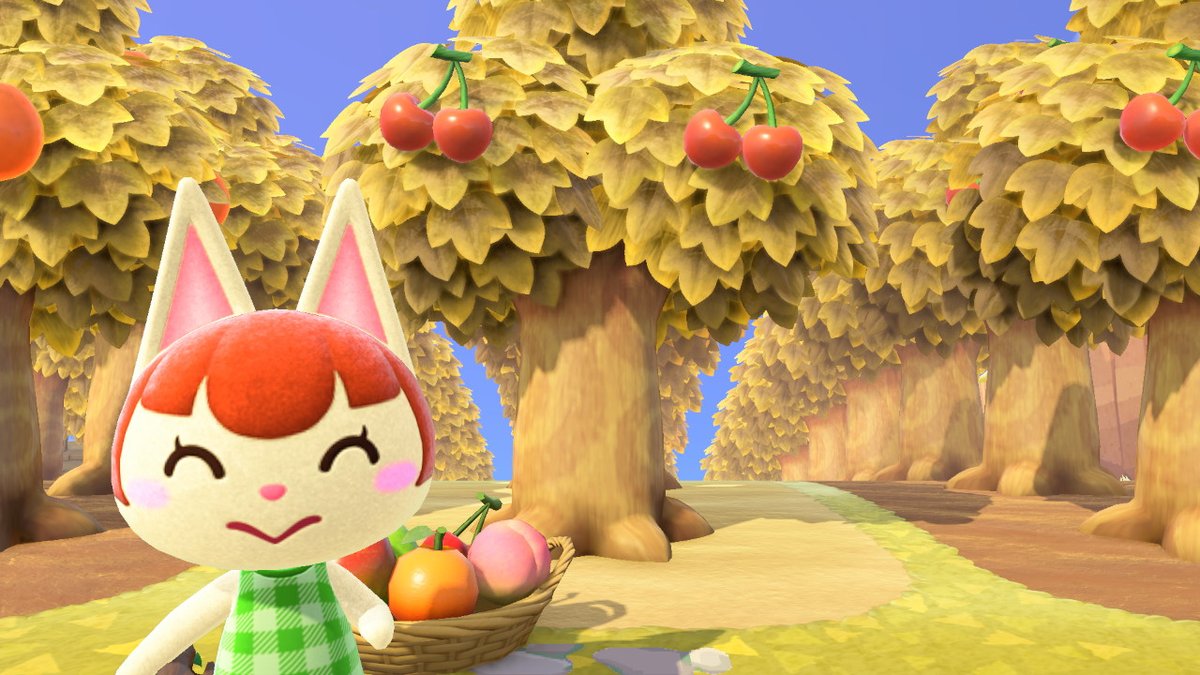 jesssskywalker's tweet photo. #AnimalCrossing #ACNH #NintendoSwitch https://t.co/LNJvYyiUki