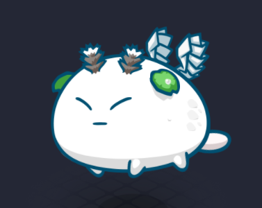 AxieCutie Guild | ACG tweet media