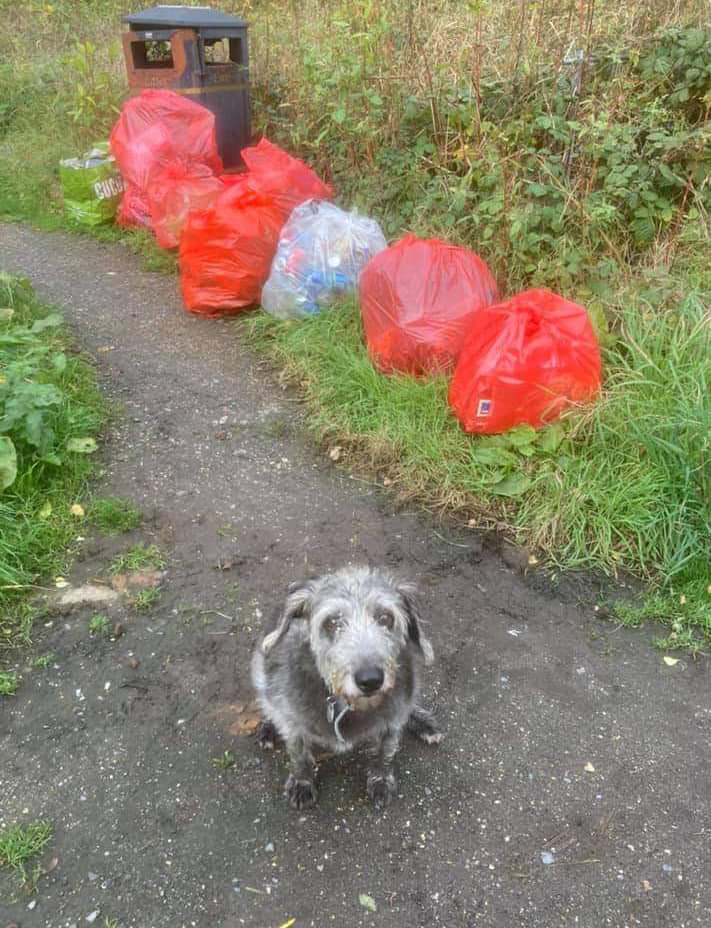 Since we started 3.5 years ago we have:

Collected over 60000 bags of rubbish 
Saved recycling from landfill
Saved re usables and passed them on

Another 201 bags this week from our fab #volunteers

(<a href="/pow_rebecca/">Rebecca Pow</a> we really need to sort our rubbish problem)