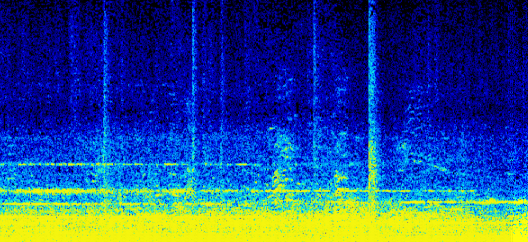 rt22275rt's tweet photo. @DonaldMustard i ran it through a audio visualizer and got this kinda looks like a dude holding a rope https://t.co/JMFzG65fAw