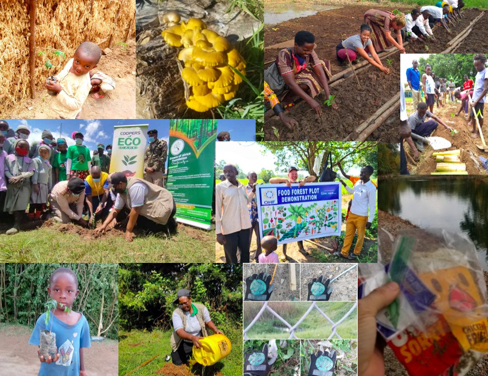 Every day, and around our globe, #EverGreenCoin #community members are making a difference and, while doing so, earning $EGC #cryptocurrency.

Please feel invited to join us! 💚 EverGreenCoin.org 

#EGC #crypto #ProofOfEnvironment #PoE #EGCarmy #savetheplanet