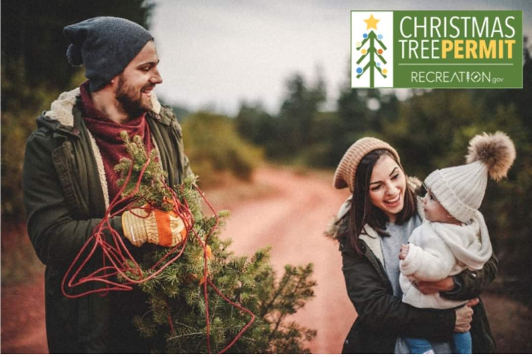 Coming back to Recreation.gov this season, you can purchase a permit to cut down a Christmas tree. Cutting down your own tree is the perfect way to create a memorable holiday experience, share a special tradition with family or friends, &amp; help maintain a healthy forest.