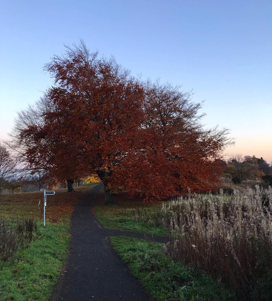 heather1sabella's tweet photo. Pretty weekend walks with doggo. #healthandwellbeing #stirling #weekendwanders https://t.co/lUTA8XmB9m