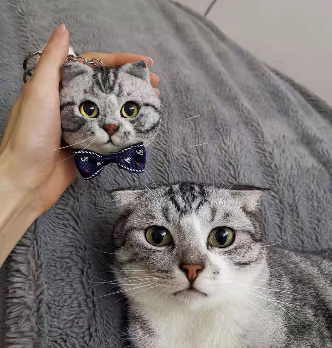 หนูนิดมีน้องเป็นโหล tweet media