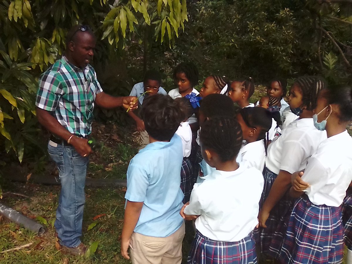 StAugustineMNI's tweet photo. Nothing beats going outside and getting your hands dirty! The Grade 3 students  enjoyed their agricultural lesson in grafting techniques with Agricultural Officer, Elvis Gerald. https://t.co/D3tzQjvzCk