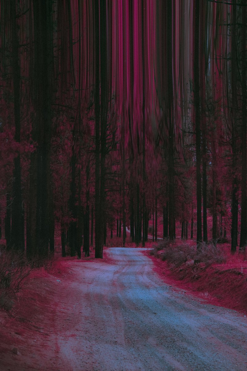 jencaywood's tweet photo. talking to the trees https://t.co/5hHaEWv8GY