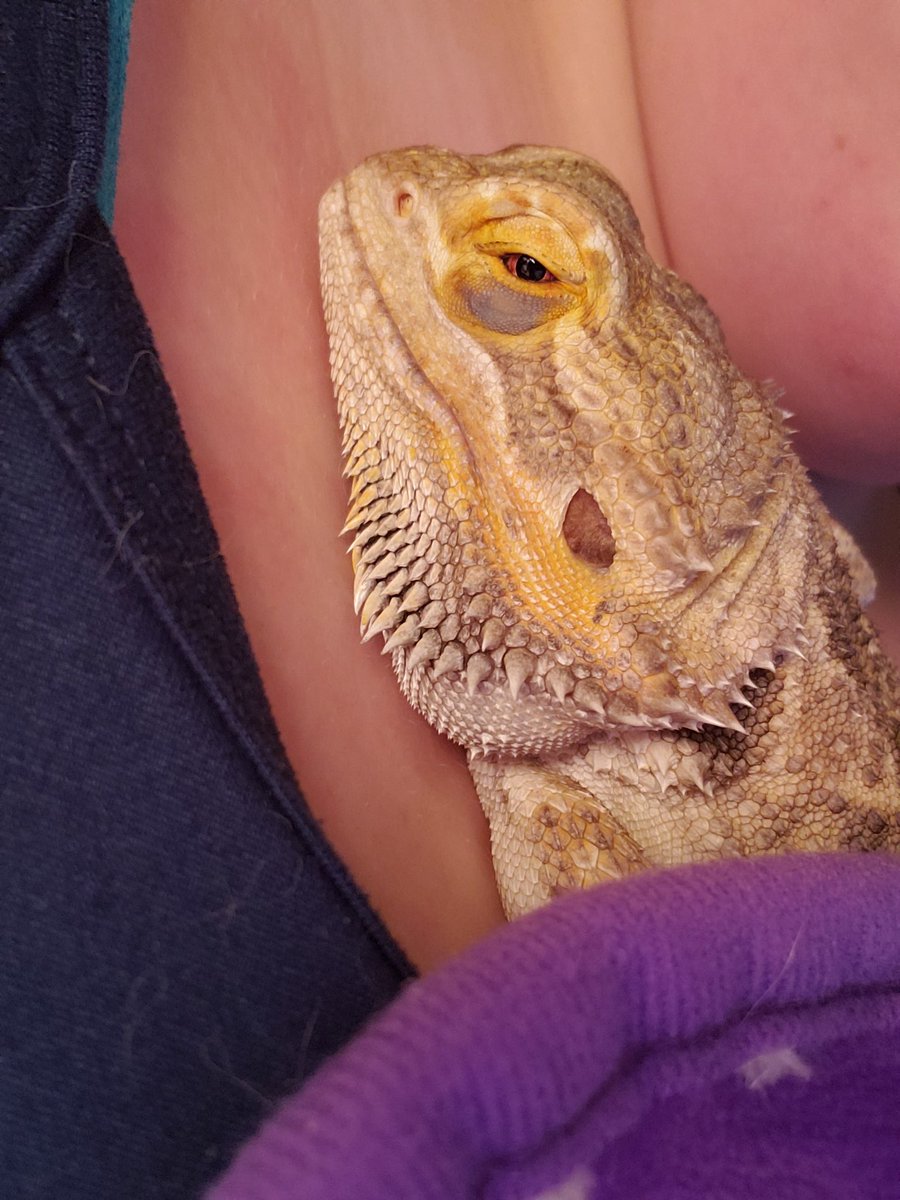 MoreLizard's tweet photo. Happy heavenly birthday baby boy, I miss you so much😭😭 https://t.co/MhTnUARqa6