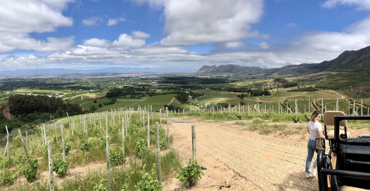 Derek Prout-Jones🇿🇦🦅🍷☕️🪂🤿🙏🏻 tweet media