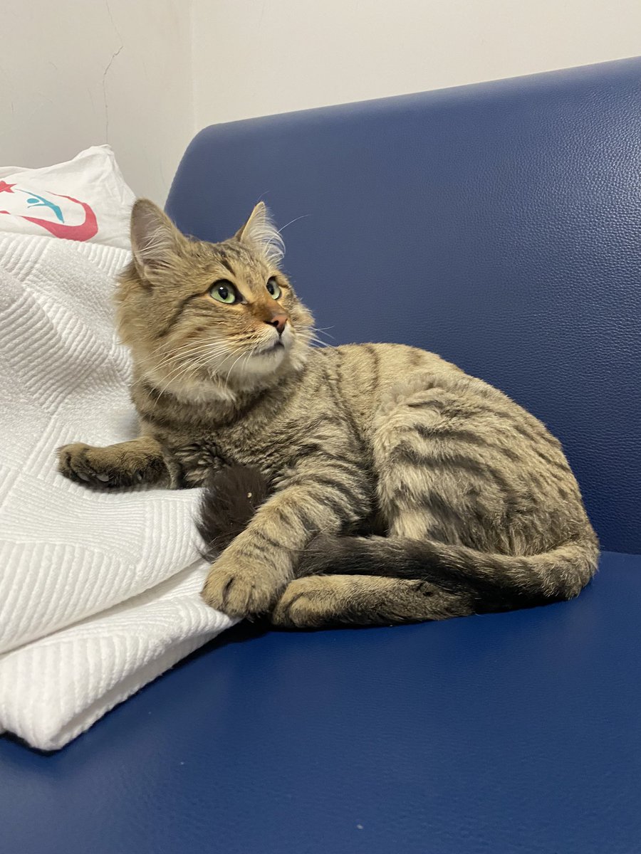 çerkezköy'deki en güzel şeyi buldum çabuk bakın 😍