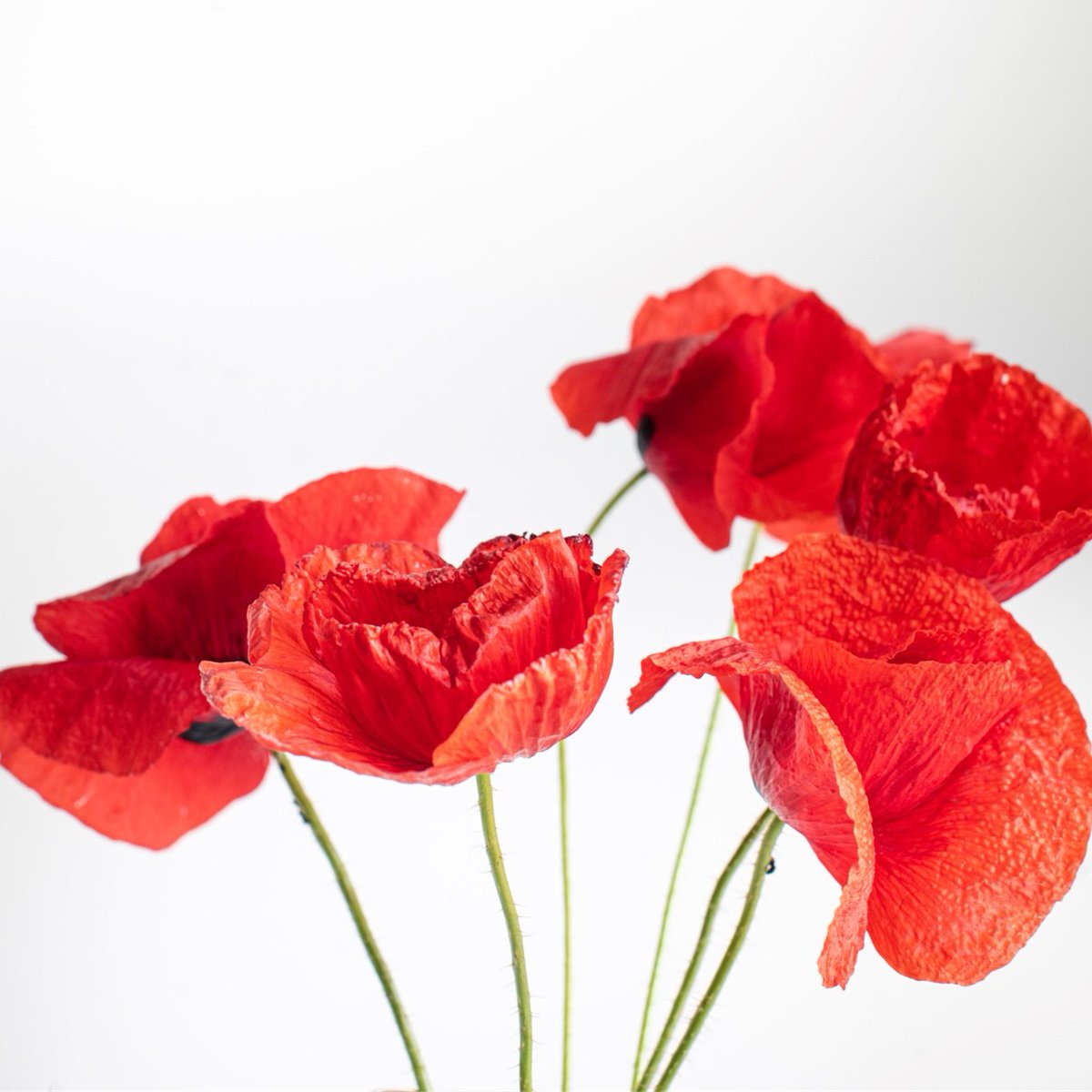 This Sunday we will gather in the church car park at 10.40am, before making our way to the memorial for a Remembrance Service. Refreshments will be available in the church after the service.