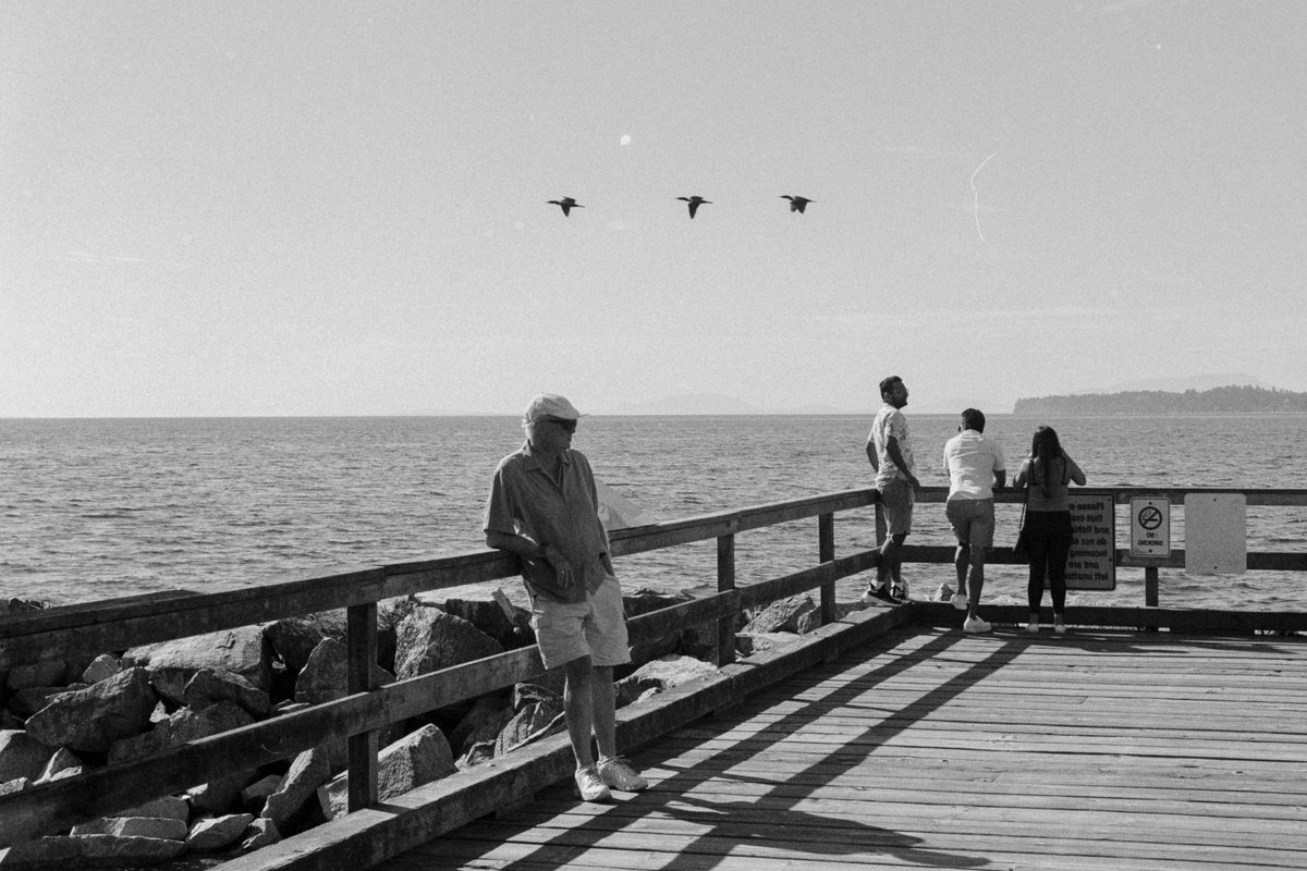 ColeBader_'s tweet photo. Seaside with Kentmere 400 https://t.co/W5uT9PerOx