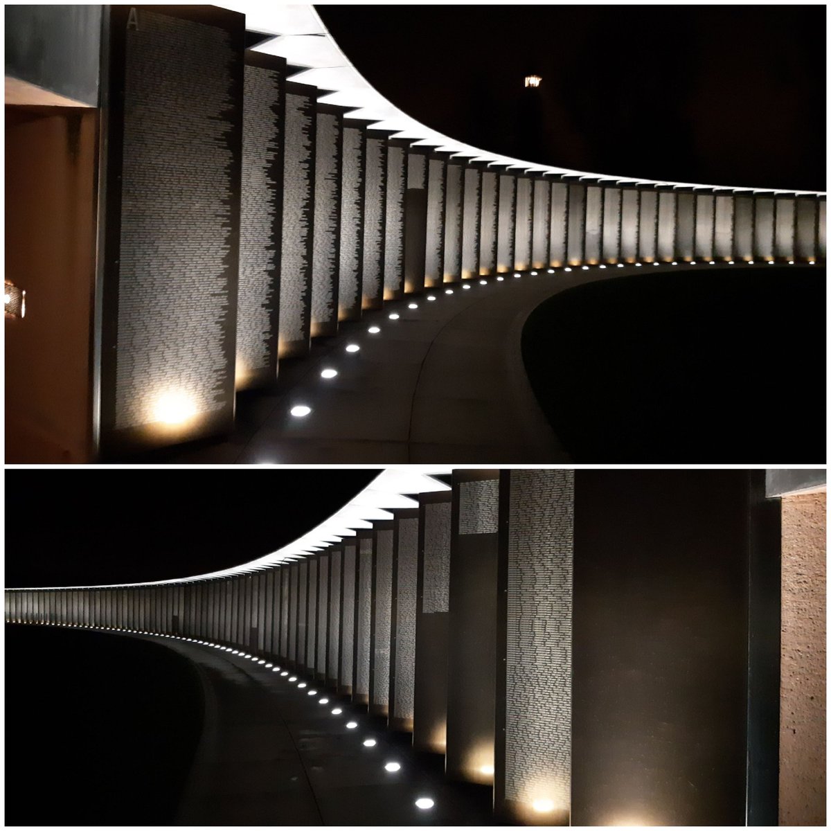 Puppinck Xavier tweet media