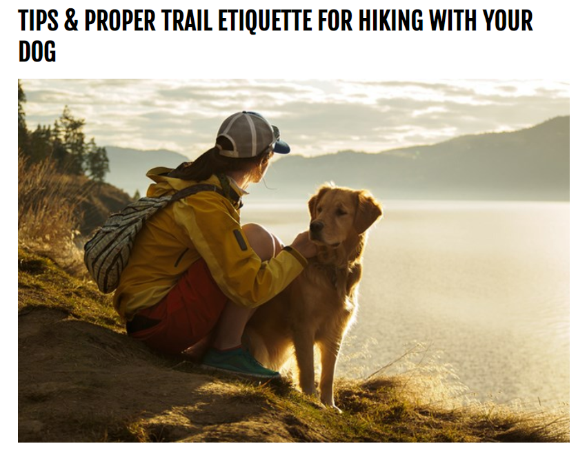 Trailside RV tweet media