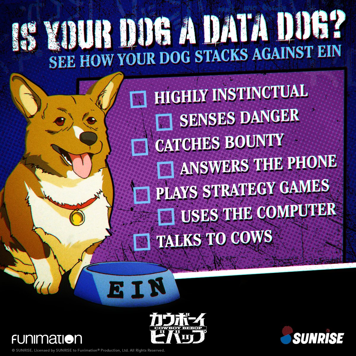 For sure on the last one, questionable on the rest.