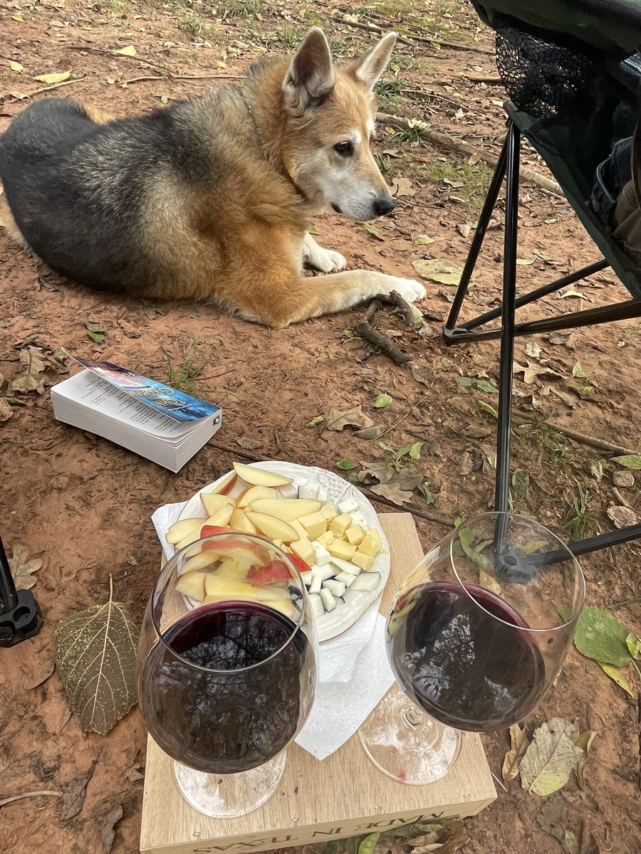HollyLJones1's tweet photo. #welltraineddog #loveher #foodrespect #crackmeup https://t.co/xm0iEAJtmI