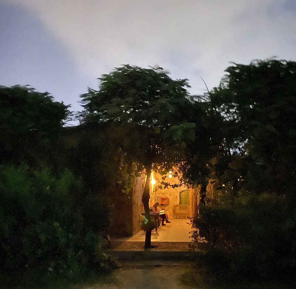 HalenKurdistani's tweet photo. An evening
📸#halin https://t.co/zOlQwPdtW3