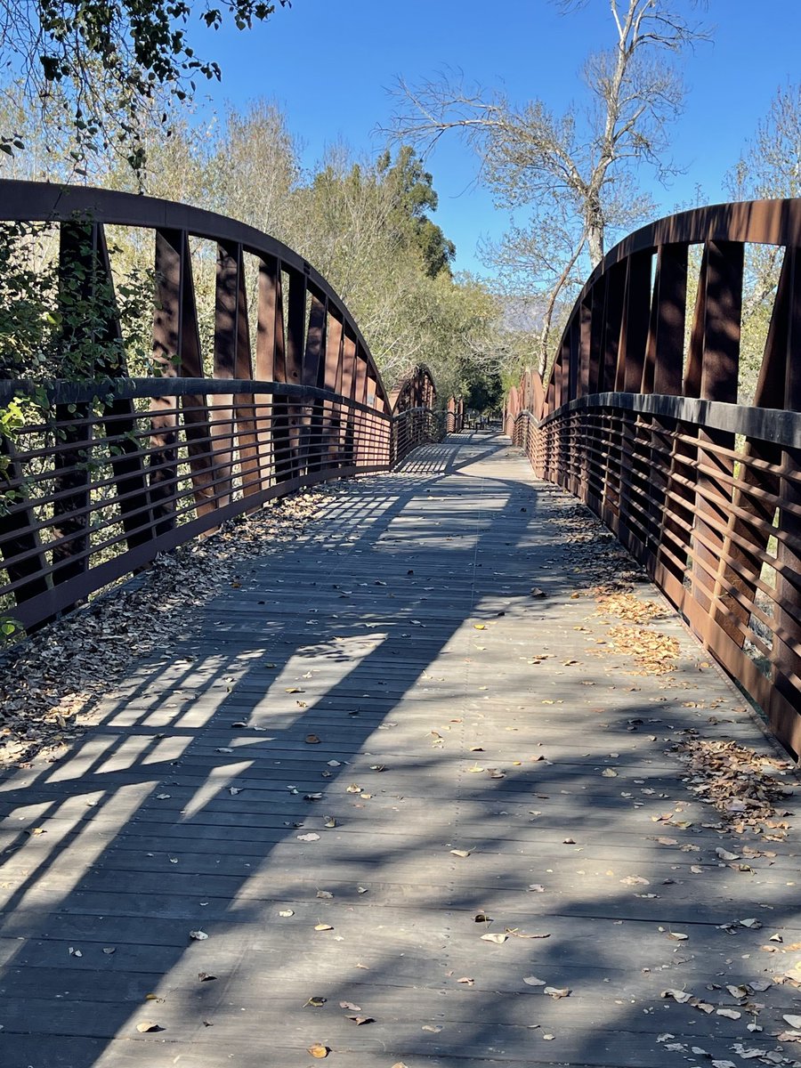 SusanQuaggin's tweet photo. A beautiful day for my #850challenge 🚴 to #sockittokidneydisease!!! 🙏 ⁦@HumphreysLab⁩ for arranging this weekend’s #FootProcess event!! All in to raise awareness for the 850M people 🌎 living with kidney disease! https://t.co/gwmZz2Au8d