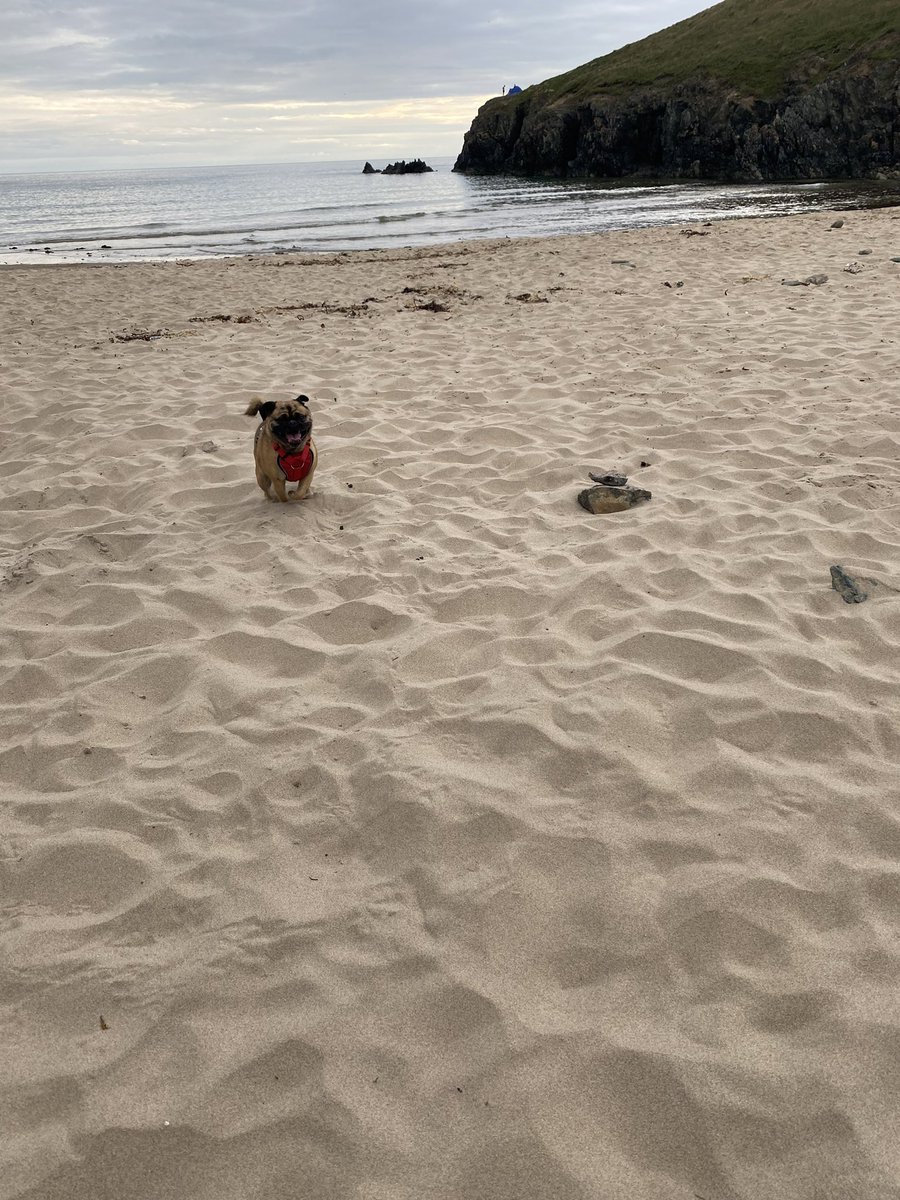 x_MichelleB_x's tweet photo. Day at the beach #Wales 🏴󠁧󠁢󠁷󠁬󠁳󠁿 https://t.co/Hn8ojzY1jt