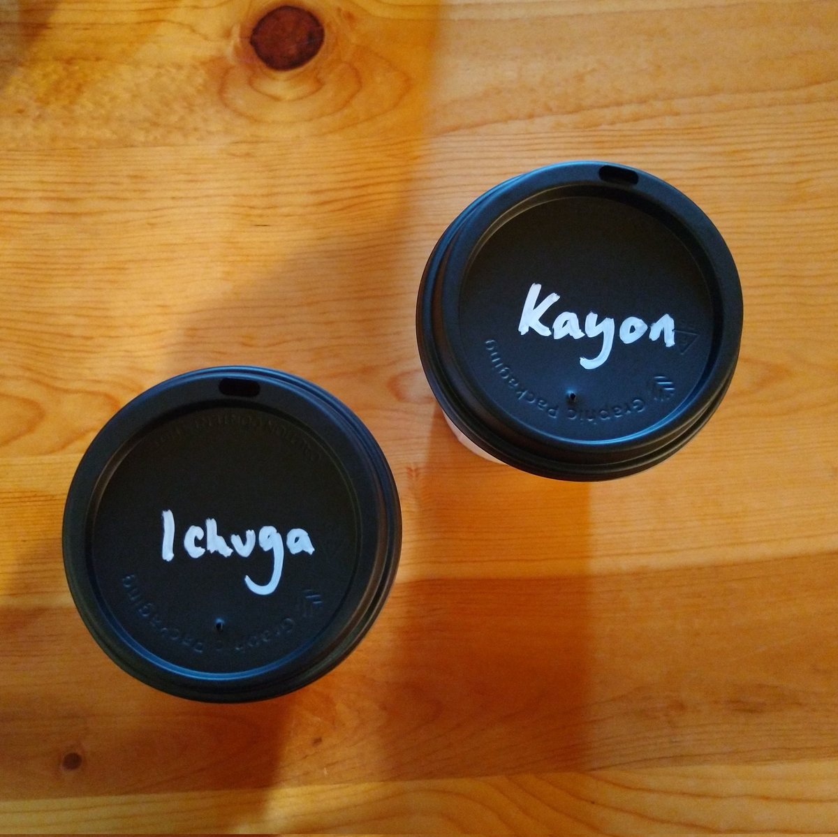 Next stop, <a href="/penstockcoffee/">Penstock Coffee</a> in Highland Park, New Jersey, for a couple of pour-overs (Kayon Mountain, Ethiopia) and Ichuga Mill, Kenya).