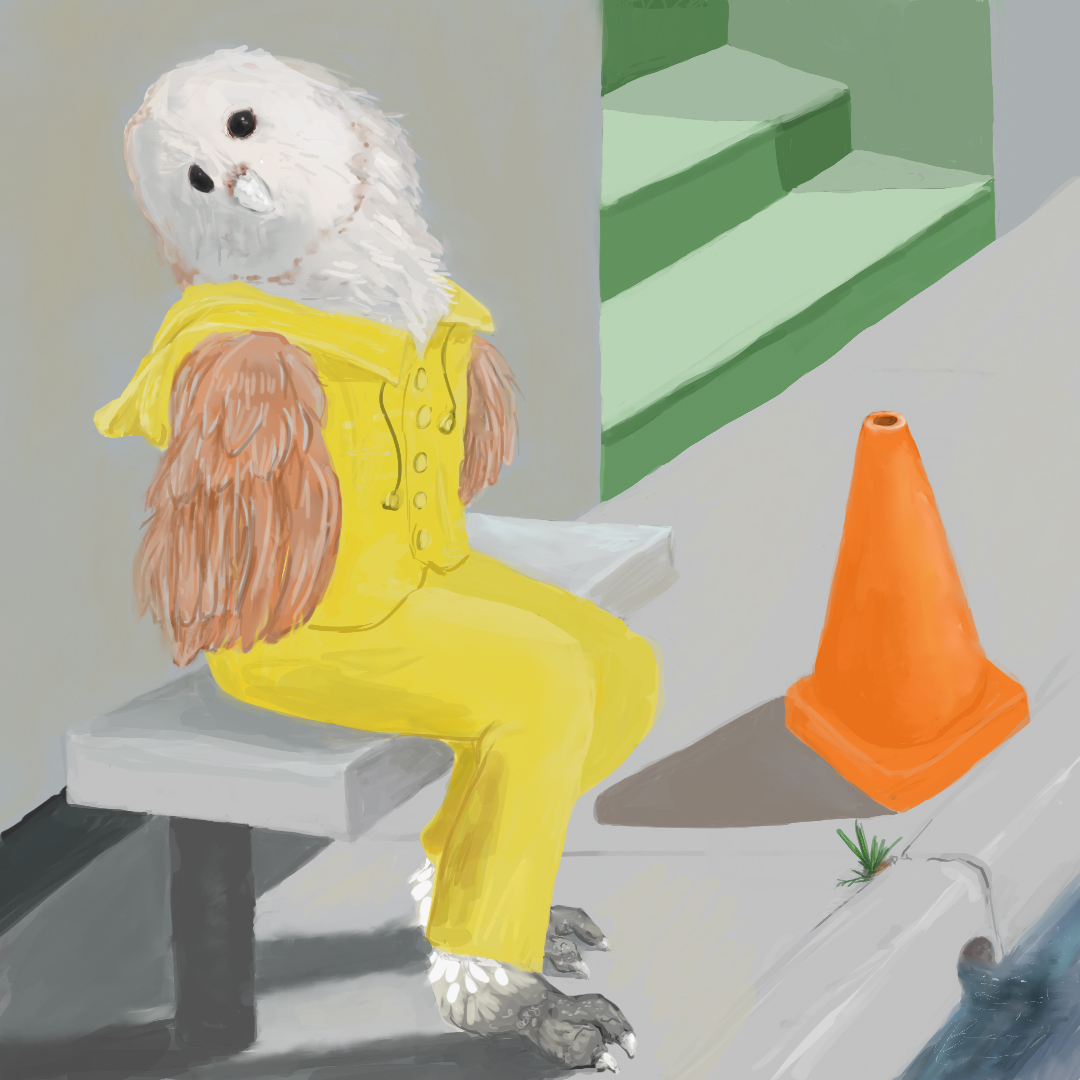 peteperception's tweet photo. Owl ready for rain https://t.co/yXgBuWAPNW