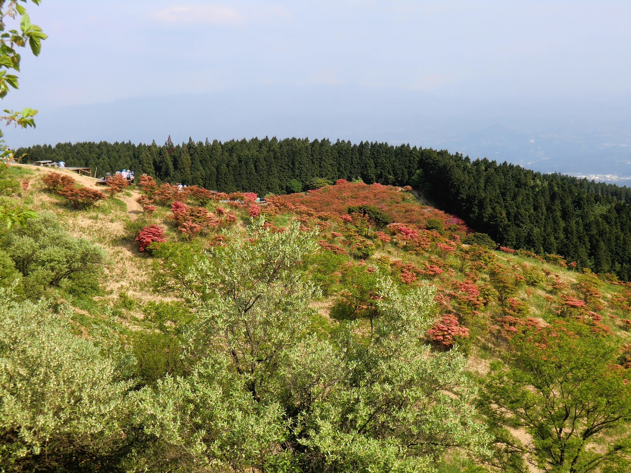 @ZENRIN_official 初夏の葛城山もこんなに美しいです…( ´∀`) 