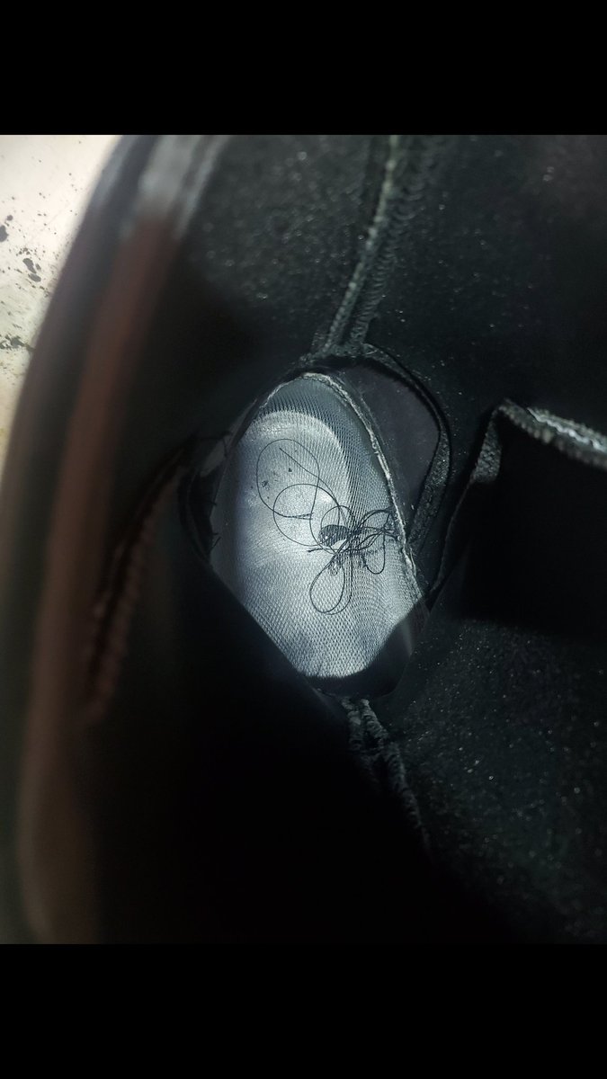 seagoat666's tweet photo. @baffinworldwide Leaking boots https://t.co/Bk5ceCzv9r