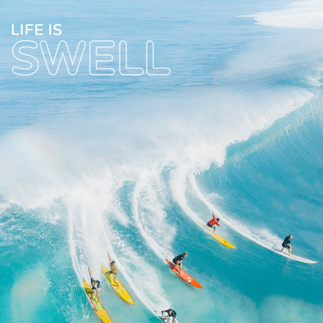 WaikikiShopPlza's tweet photo. This! π
Hope youβre hanging ten or having an epic Saturday adventure.
#waikiki #honolulu #oahu #oahuhawaii #hawaii #lifealoha #alohaoutdoors #alohahuffpost #alohacrate #alohachic #beachvibes #beachy #beachwalk #beaches #surf #γγ― #γͺγ’γγγ―γ€#γͺγ’γ #γγγ«γ« #γ―γ€γγ https://t.co/W39XFA6f0n