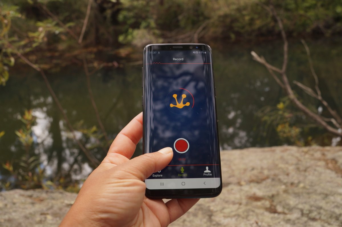 New to #FrogID? Here are some tips to help you get started.

📽️: Check out our How To video: bit.ly/how-to-frogid 

📘 Read our FAQs: frogid.net.au/faq 

❔ Contact us at calls@frogid.net.au with any questions – we’re here to help!