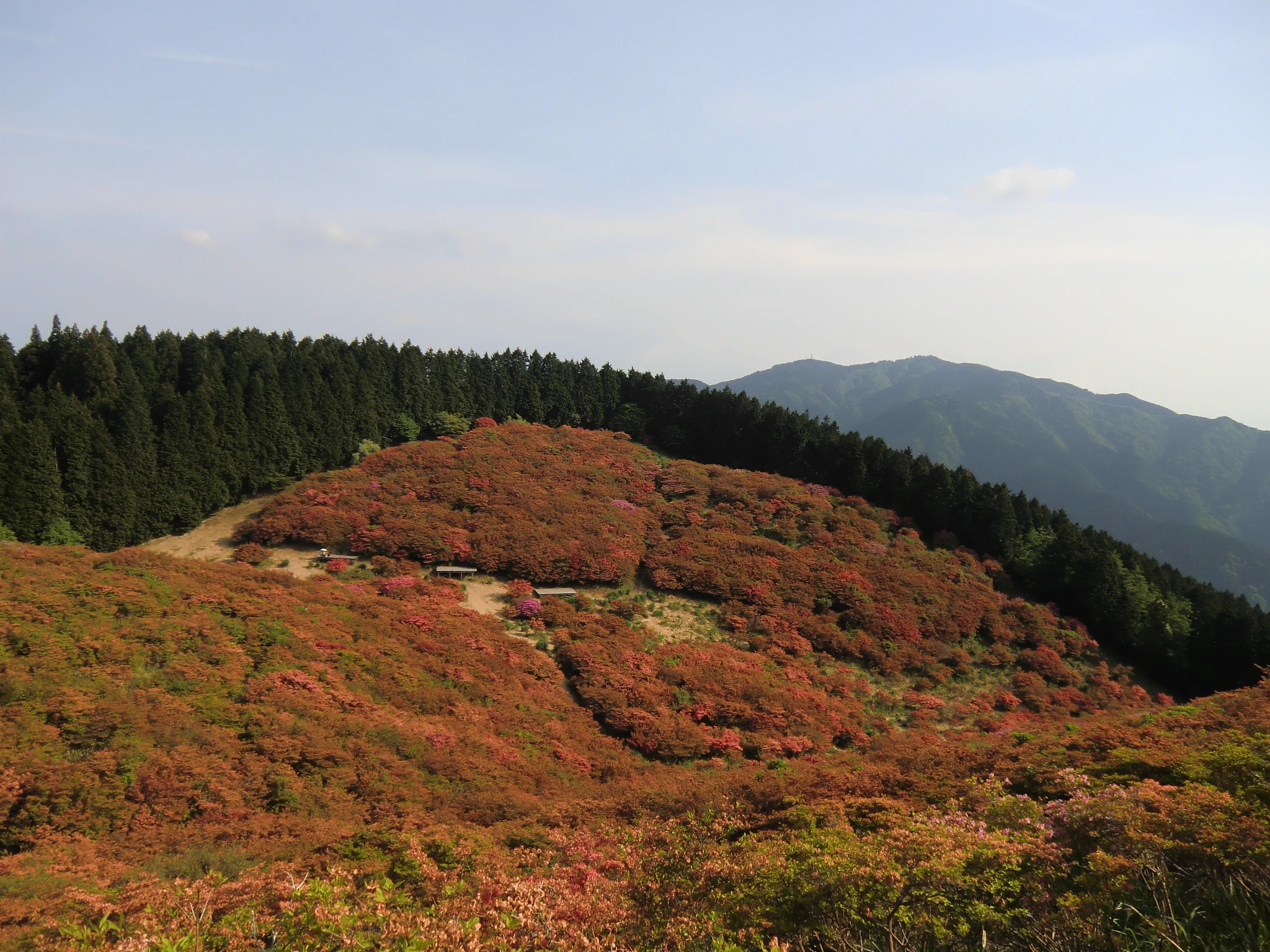 @ZENRIN_official ということで、特に補正しなくても、初夏の葛城山も真っ赤っかでした(^_^; ) 
