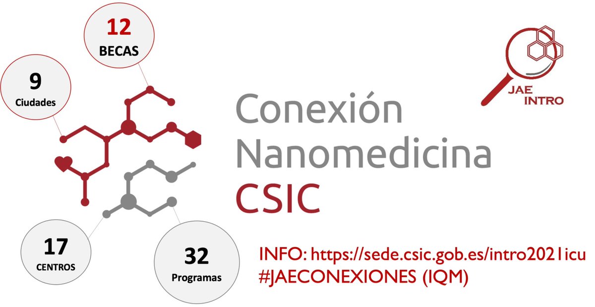 📢We are looking for motivated students in the last year of their degree or master for working with us on two different projects with a @JAEIntro_CSIC scholarship. <a href="/icmabCSIC/">icmabCSIC</a> <a href="/Nanomed_CSIC/">NanomedCSIC</a> 
sede.csic.gob.es/intro2021icu