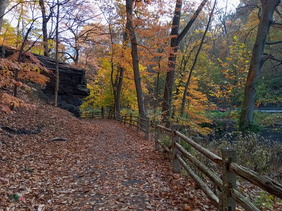 nooberry's tweet photo. Beautiful morning for a nice fall run! #wissahickontrail #forbiddendrive https://t.co/qsY3QjOrl0