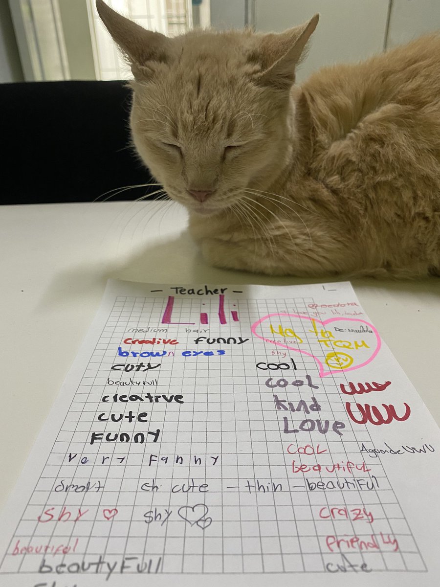 My cat doesn’t really care for what my students think of me. Well, I do. And I love it! 💙 #teaching #CatsOfTwitter <a href="/lafontainecali/">Colegio La Fontaine</a>