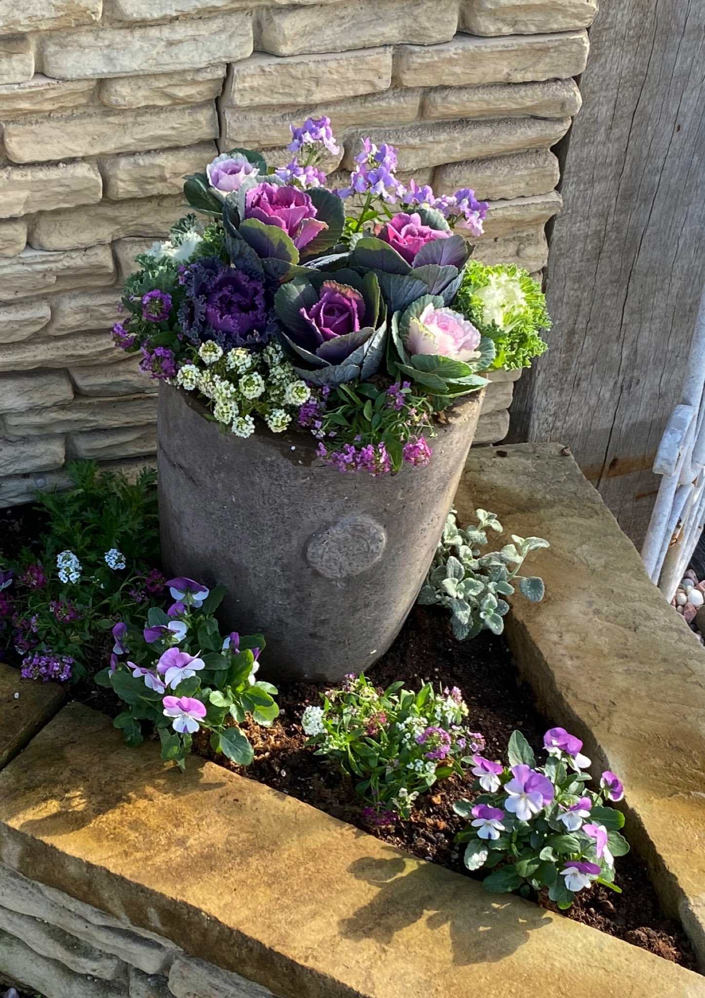 Partyplants Jp 小さな冬の花壇 シンプルな冬の花をワントーンコーデで植え込んでみました 寒さに強く冬の間中楽しめます ガーデニング 初心者 花壇 ビオラ アリッサム ハボタン ネメシア ももか T Co 6mts50zrla Twitter