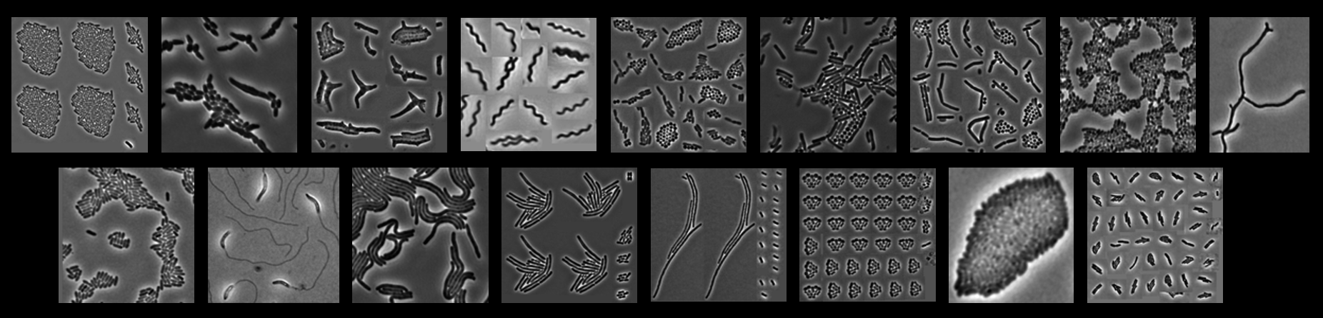 Kevin Cutler on Twitter: 