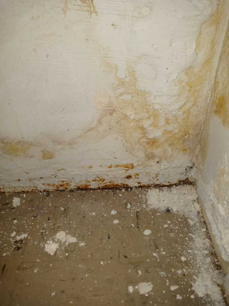 Linbee14's tweet photo. NYCHA Rangel Houses in (HARLEM). Why in 2021 is this the standard for Rangel Houses? This did not happen overnight ! #Harlem https://t.co/nUWyzggx7S