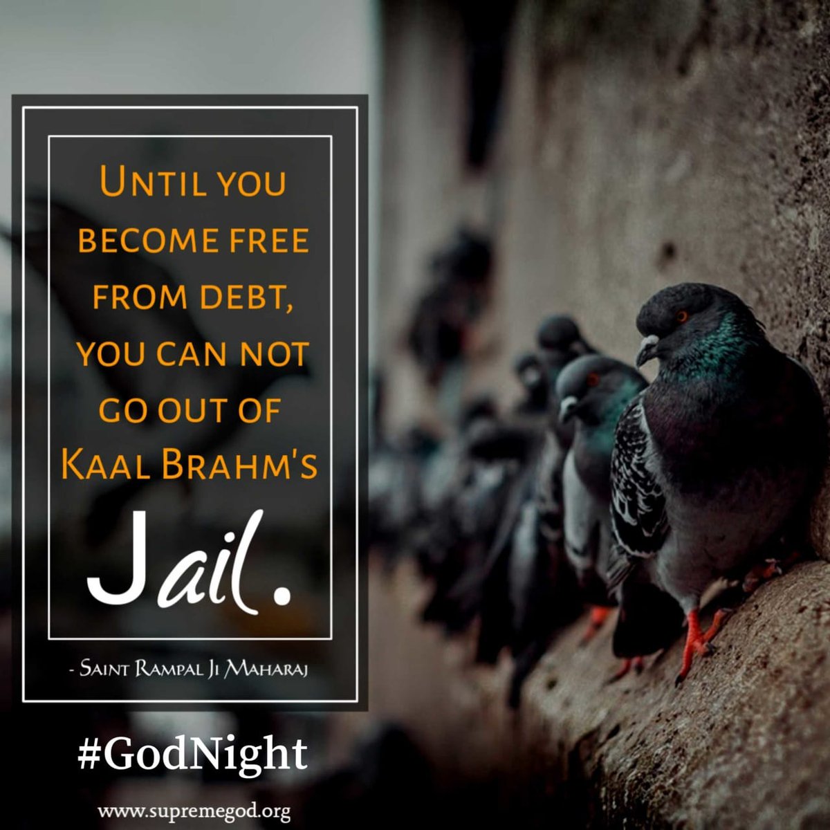 #21UniversesOfKaalUntil You Become Free From Debt, You Can Not Go Out Kaal Brahm's Jail.
-Saintrampaljimaharaj
#SaintRampalJiQuotes || #GodNight
