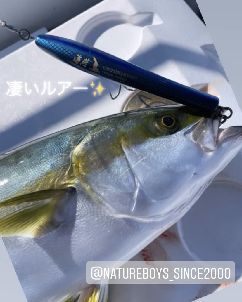 当店一番人気 新品 ネイチャーボーイズ 海燕185f トビウオ トップウォーター Www Sobreruedas Com Bo 当店一番人気 新品 ネイチャーボーイズ 海燕185f トビウオ トップウォーター Www Sobreruedas Com Bo